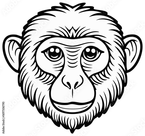 Line art illustration of a monkey face smiling with detailed features and fur