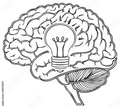 Concept of Innovative Human Brain with Light Bulb Ideas, representing intelligence and creativity. Outline style.