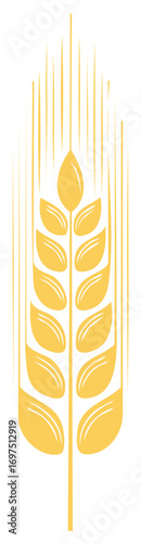 Stylized golden wheat grain illustration, isolated on white background.