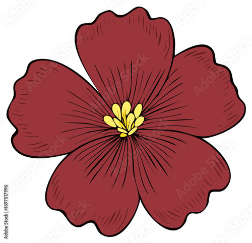 Burgundy Petal Flower Illustration Artful Blossom with Yellow Center