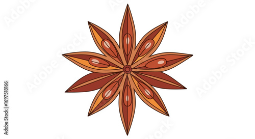 Stylized illustration of a ten-pointed star anise pod, a fragrant brown spice with orange highlights and distinct black outlines.