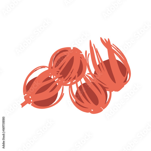 Stylized Illustration of Three Red-Orange Dried Cardamom Pods.