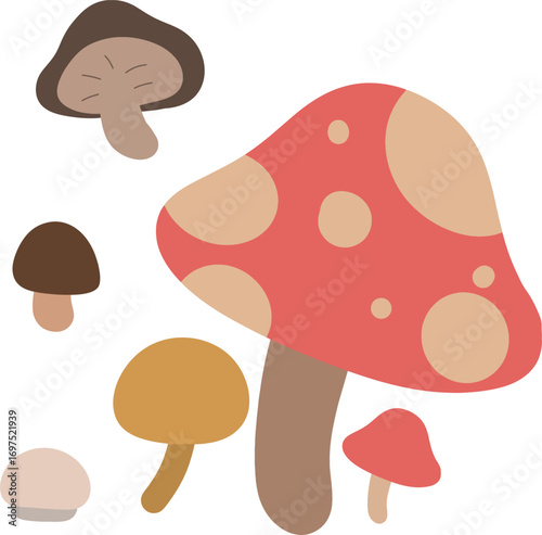Cute illustration of various mushrooms in soft earthy tones. Great for nature-themed projects, forest graphics, or food and cooking designs