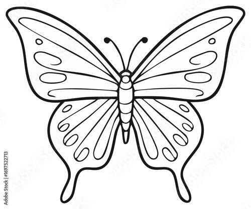 Butterfly Wing Line Art Outline Illustration For Coloring Book or Decoration