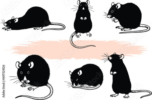 Rats black silhouettes. Minimalist Mouse and Rat Silhouettes in editable vector format. EPS 10.