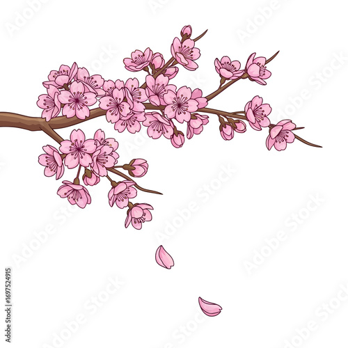 Delicate cherry blossom branch with falling petals brings elegant spring vibes for your design project