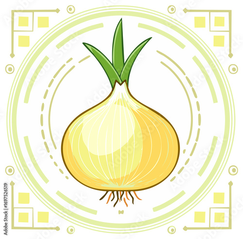 Yellow Onion Vegetable in Decorative Round Frame Design Illustration