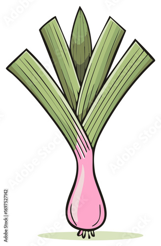 Fresh Green Leek Vegetable with Pink Base Isolated Illustration