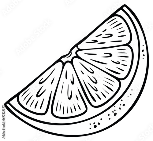Black and white drawing of a citrus fruit wedge, showing segments and texture details