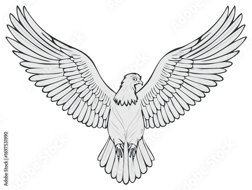 Soaring dove bird emblem spreading wings, vector illustration