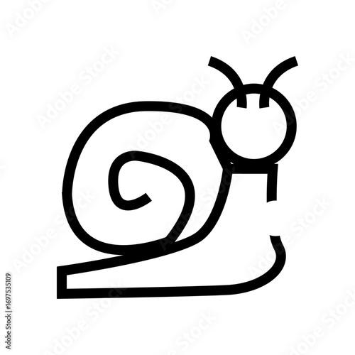 snail on a white background