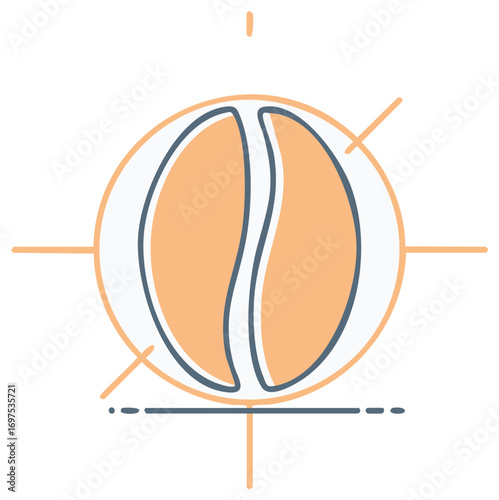 Abstract geometric representation of a halved orange fruit with graphic lines