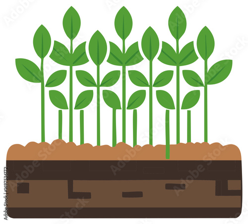 Vibrant green plants grow from rich brown soil showing an underground cross section illustration