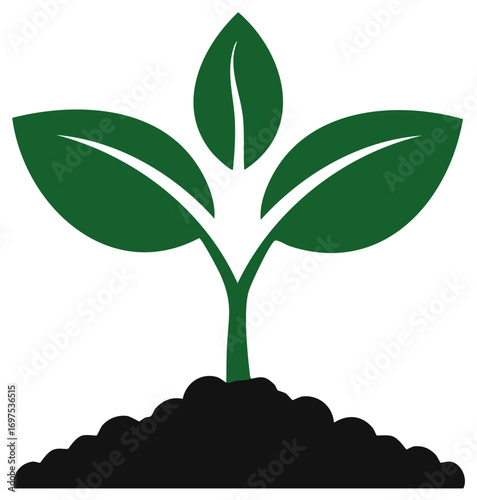 Illustration of a young plant seedling growing from soil, depicting new life and nature's regeneration.