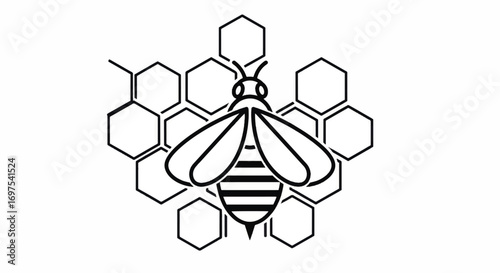 Stylized Honey Bee and Honeycomb Outline Illustration.
