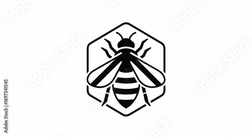 Stylized Honey Bee Icon in Geometric Hexagonal Frame.