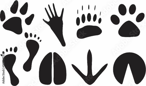 Footprint Collection - Divers...