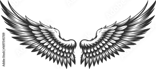 Black and white angel wings vector illustration, feathered wings tattoo design, spiritual fantasy art, freedom symbol drawing, decorative clipart element