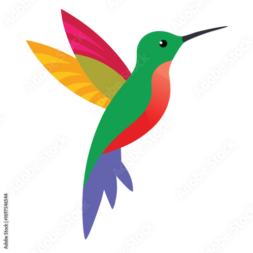 Colorful hummingbird vector illustration isolated on white background for tropical nature artwork  