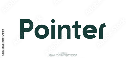Pointe creative modern stylish calligraphy letter logo design