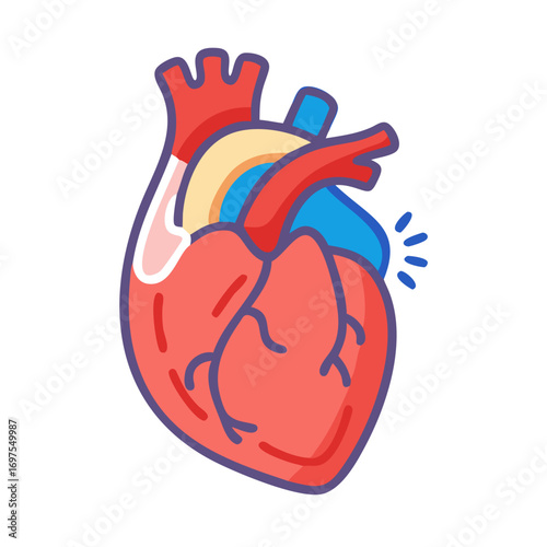 Simplified colorful anatomical heart illustration on dark background for design