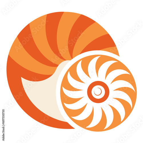Nautilus shells vector illustration isolated on white background marine ocean sea life design artwork  