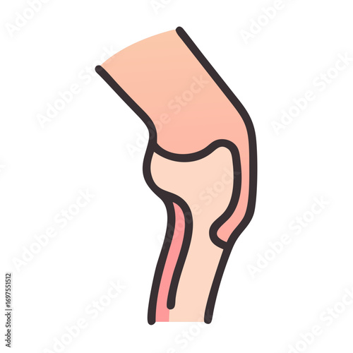 Knee joint illustration showing bones on black background