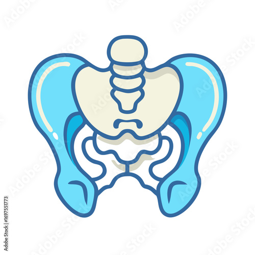 Stylized pelvic bone anatomy illustration on a black background