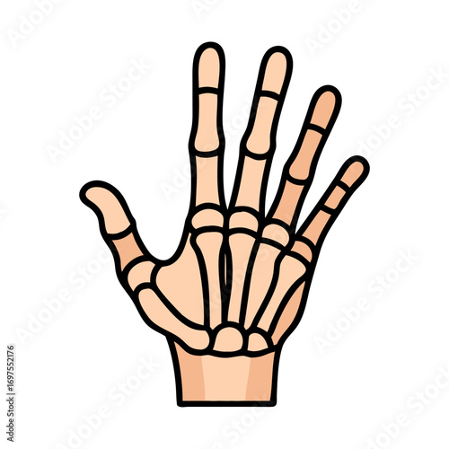 Flat vector illustration of bony hand on black background
