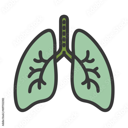 Simplified lung illustration showing human organ in flat design