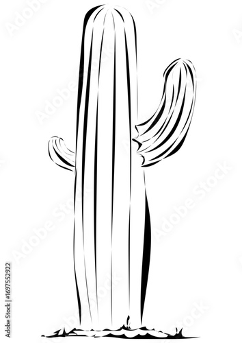 Kaktus 