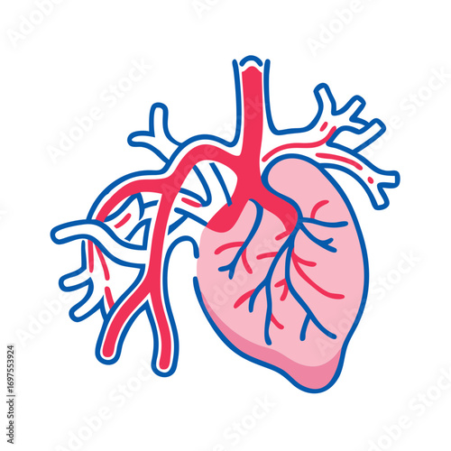 Stylized heart illustration with veins on a black background