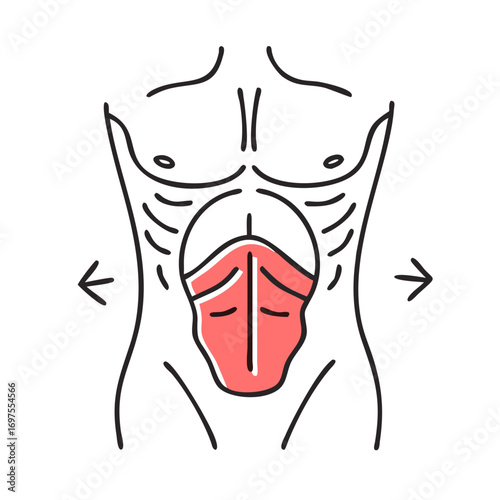 Illustration highlighting diastasis recti separation in human abdomen muscles