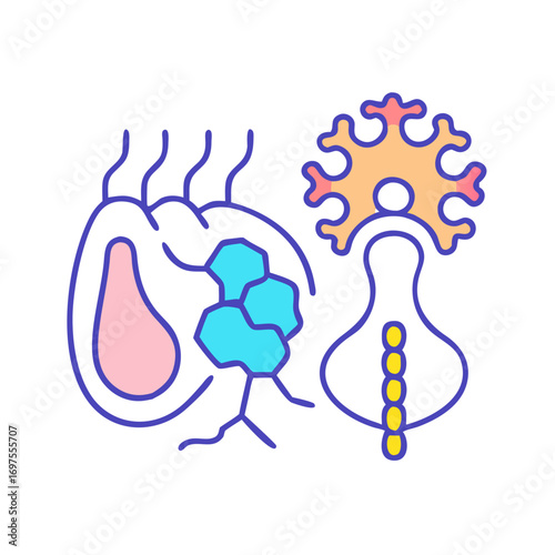 Illustration of pancreas and neurons showing different aspects of organs