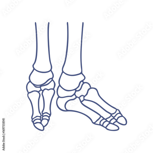 Outlined anatomical human feet against a stark black background
