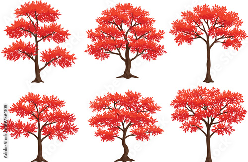 Stylized red autumn trees with brown trunks and vibrant foliage, seasonal botanical vector set for nature, landscape, design, and educational use