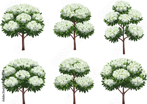 Stylized white flowering trees with green foliage and brown trunks, spring botanical vector set for nature, garden, landscape, and design use