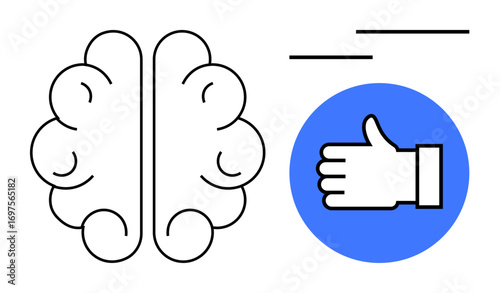 Brain with connected hemispheres beside thumbs-up hand on blue circle, symbolizing positive thinking, mental clarity, and smart decisions. Ideal for psychology, motivation, education, productivity