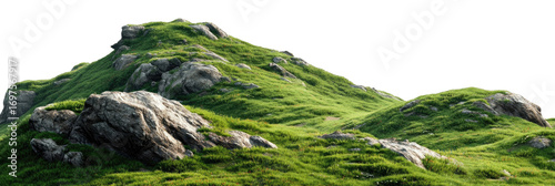 Lush hill covered in grass and scattered rocks