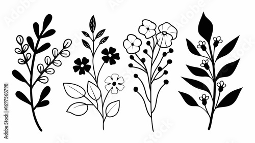 Set of Hand Drawn Botanical Illustrations