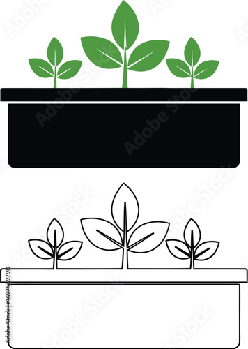 Green sprouts growing in a planter, symbolizing growth and new beginnings.