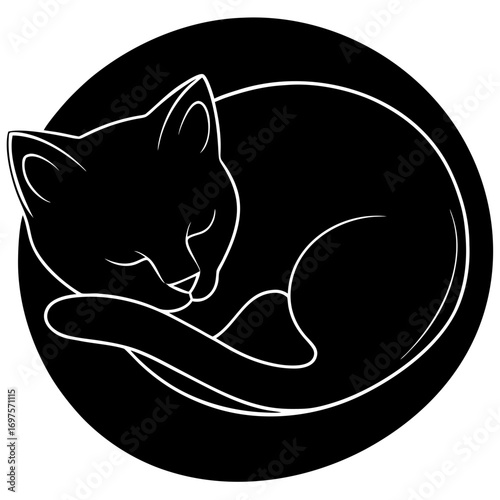 vector illustration of a cat