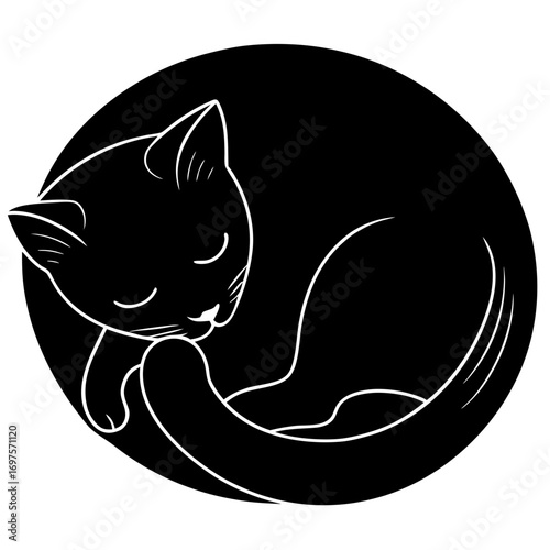vector illustration of a cat