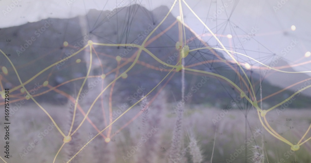 Fototapeta premium Overlaying yellow-node network graph across tall grasses and mountain peak in rural meadow