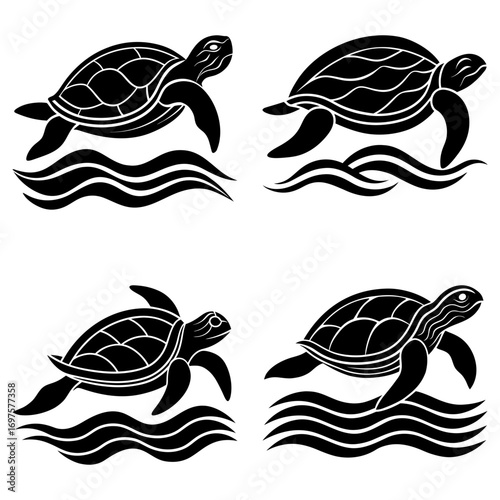 vector illustration of turtle