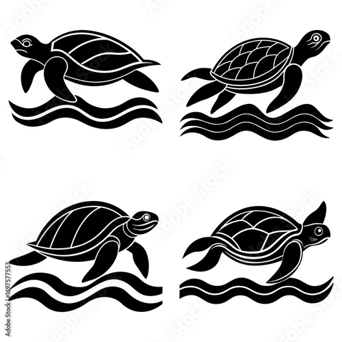 vector illustration of turtle