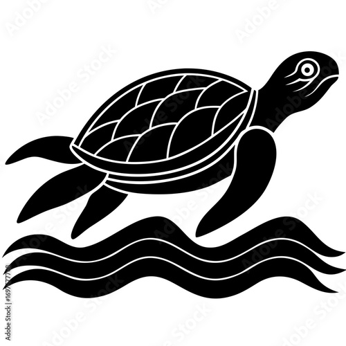 vector illustration of turtle