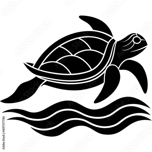 vector illustration of turtle