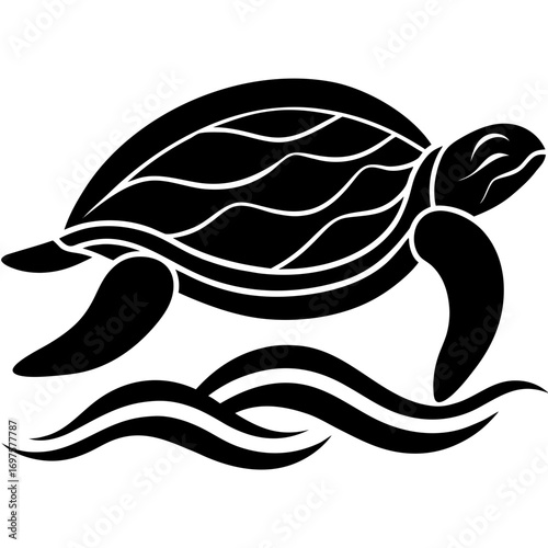 vector illustration of turtle