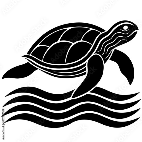 vector illustration of turtle
